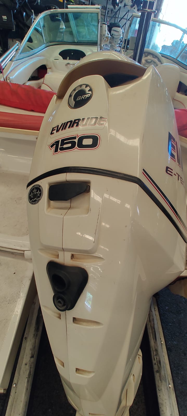Arco Iris 20 2011 Evinrude e-tec 150 hp 